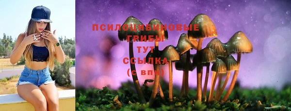 прущий лед Алзамай