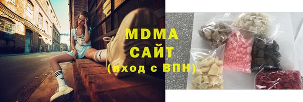 гашик Алексин