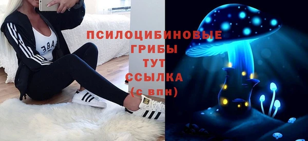 прущий лед Алзамай