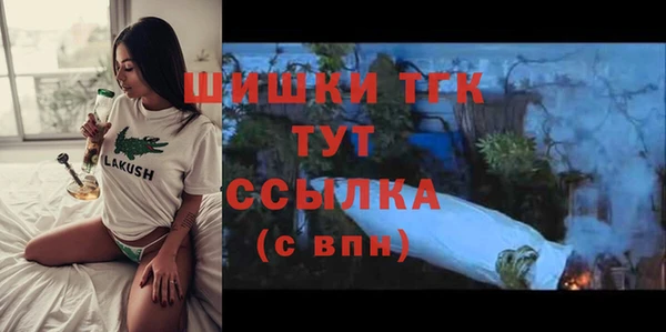 гашик Алексин