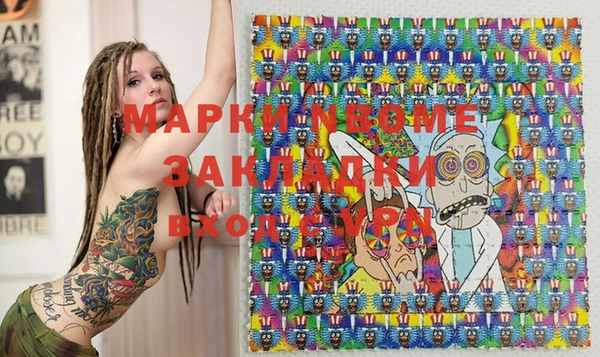 гашик Алексин