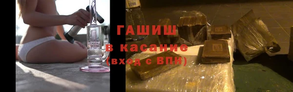гашик Алексин