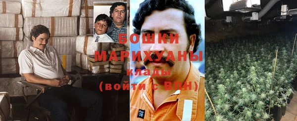 гашик Алексин
