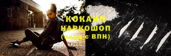 гашик Алексин