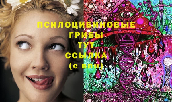 прущий лед Алзамай
