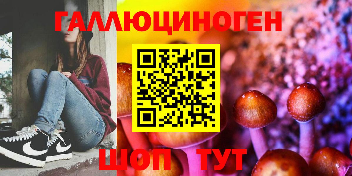 Псилоцибиновые грибы MAGIC MUSHROOMS  Вход с VPN  Глазов 