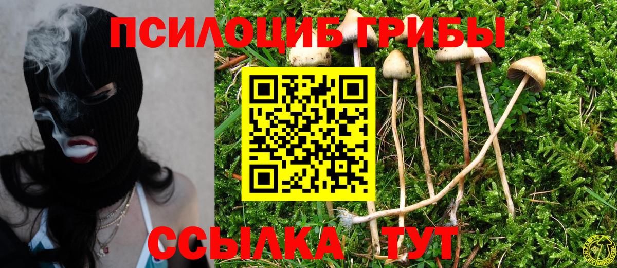 Псилоцибиновые грибы MAGIC MUSHROOMS Глазов
